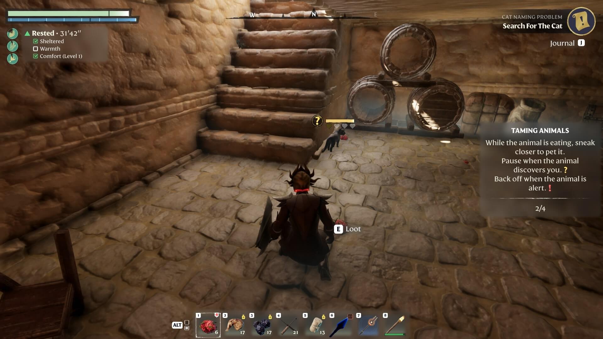 Items Cat Naming Problem 7