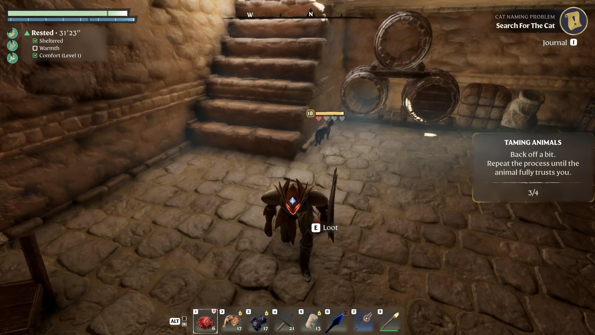 Items Cat Naming Problem 8