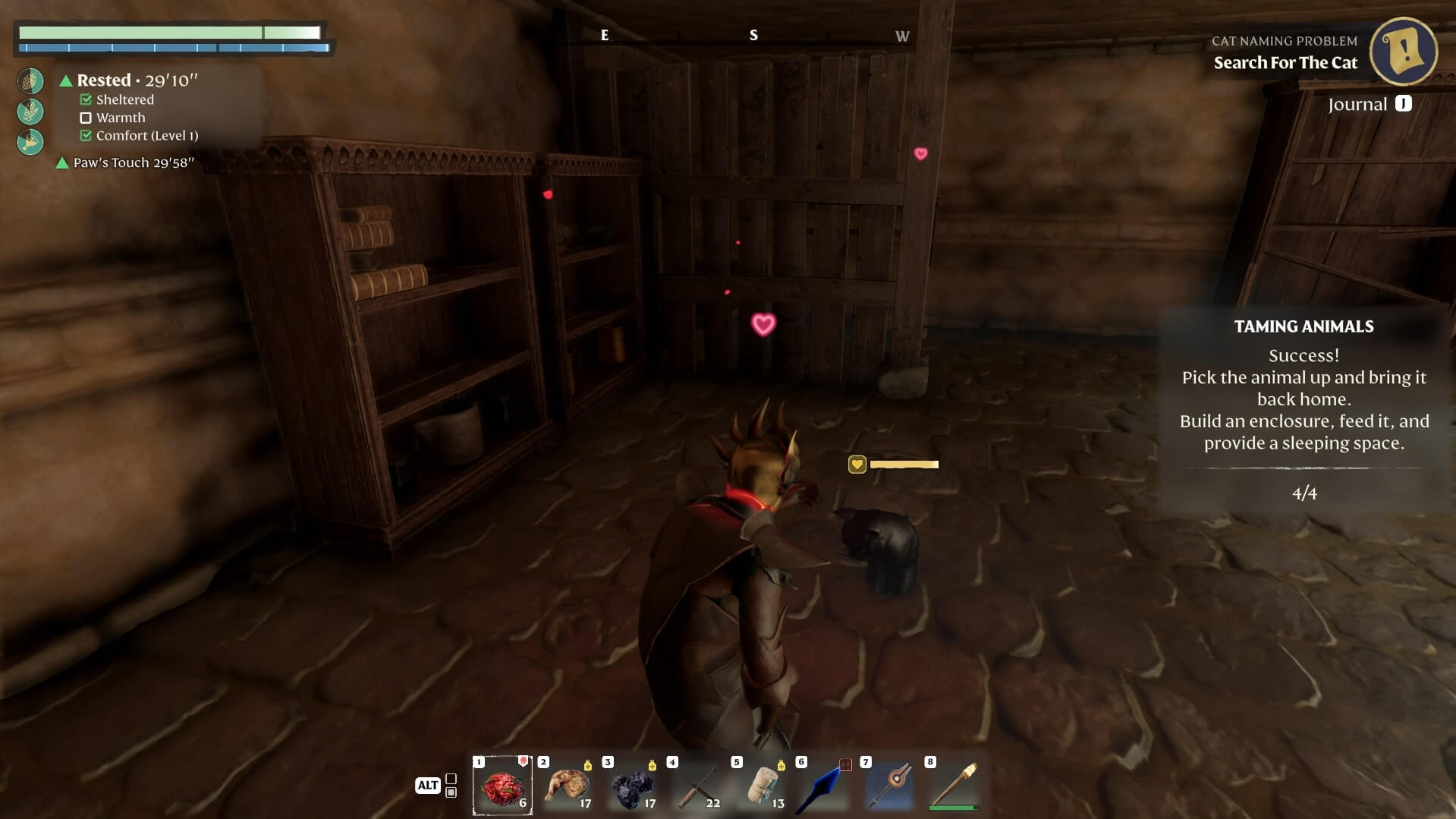 Items Cat Naming Problem 9