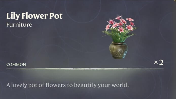 Items Lunar New Year Plants 17