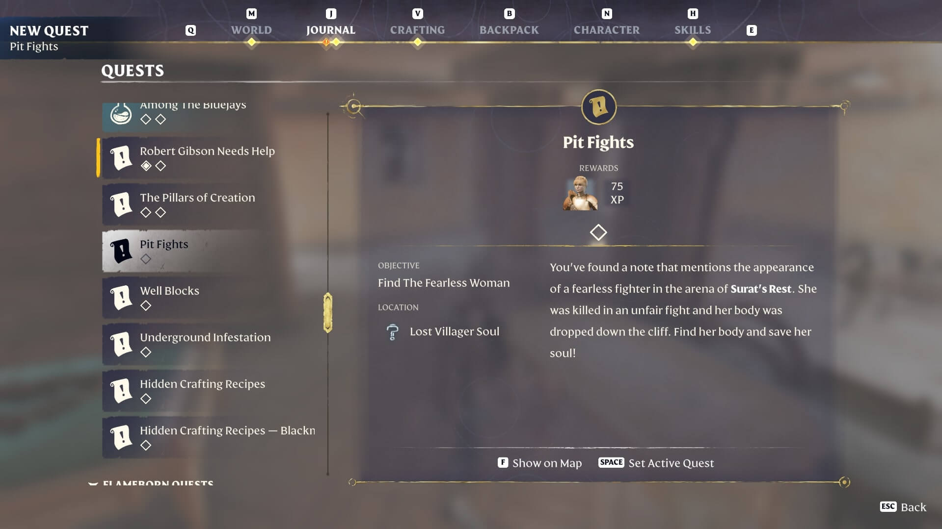 Items Pit Fights 1