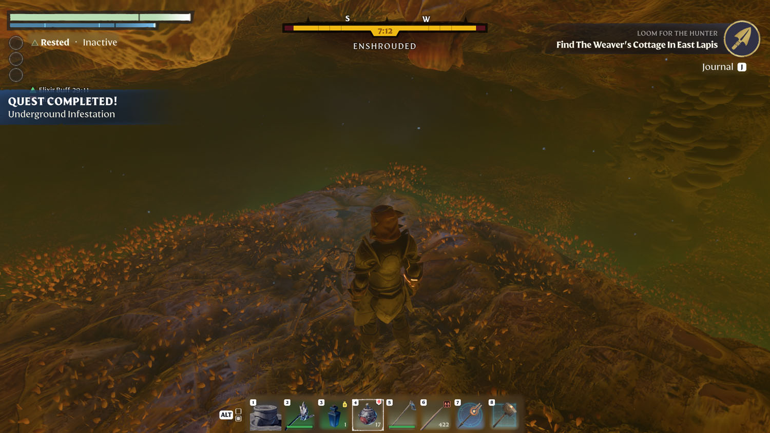 Items Underground Infestation 5