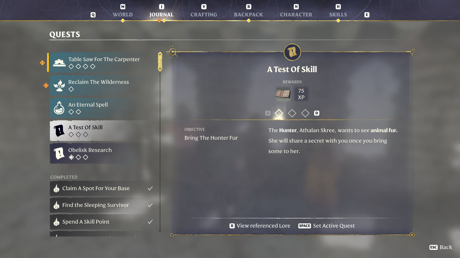 Items A Test Of Skill 3