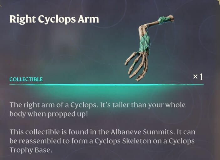 The Collector 03 A Skeleton Cyclops Collection 10