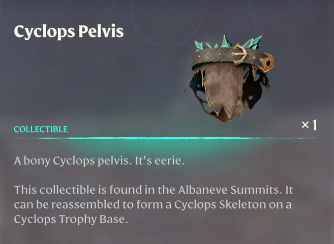 The Collector 03 A Skeleton Cyclops Collection 16