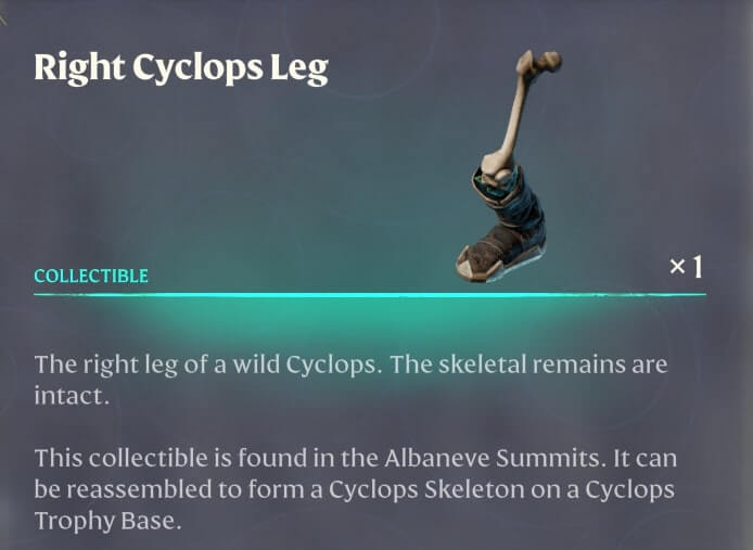 The Collector 03 A Skeleton Cyclops Collection 21